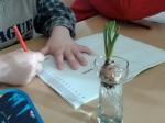 Pflanzen beobachten ab der ersten Klasse